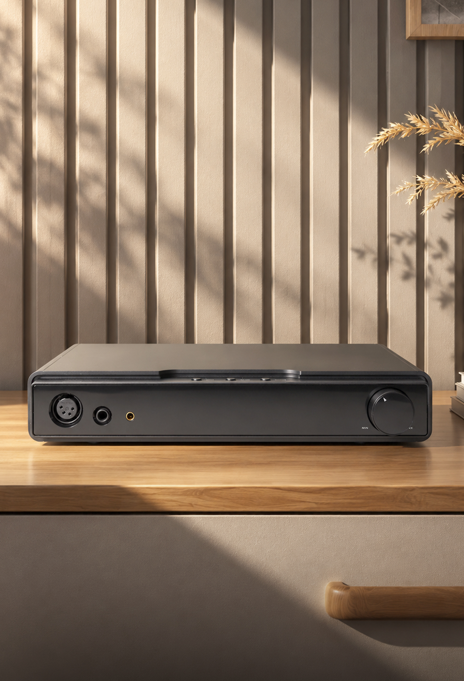 DAC and headphone amplifier